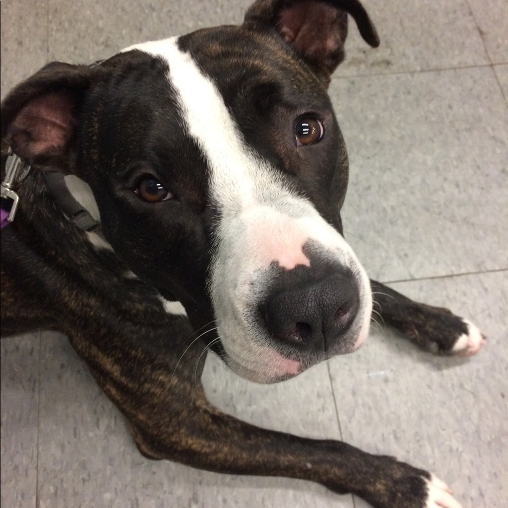 Meet your Posher, Mikka